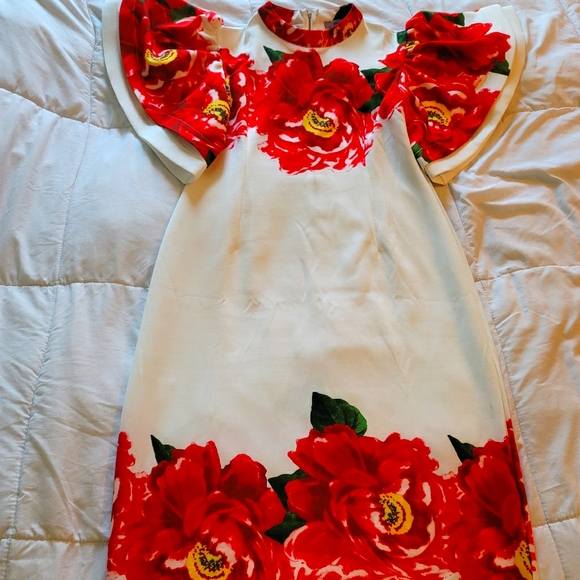 Dress - Picture 2 of 4